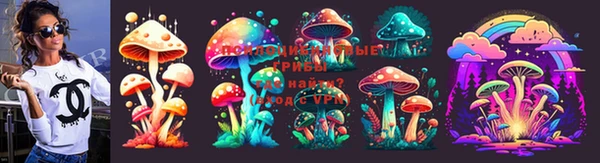 шишки Балахна