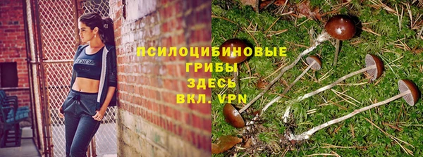 шишки Балахна