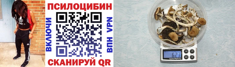 Галлюциногенные грибы GOLDEN TEACHER  Боровск 